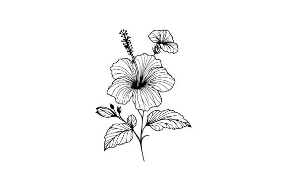 Hibiscus Flower Outline Vector Guide