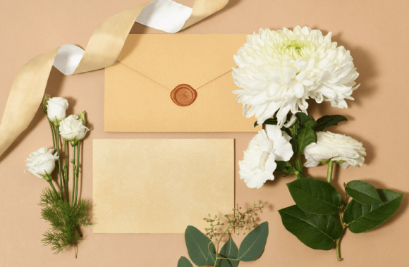 Unlocking Creative Possibilities with the Soft Textured Paint Pack of 12